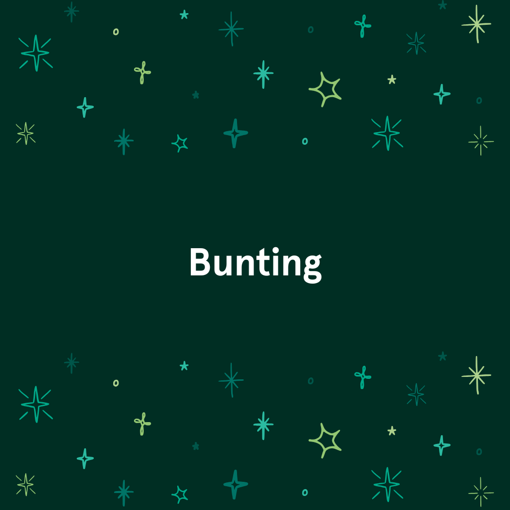 2025 Christmas Fundraising - Bunting